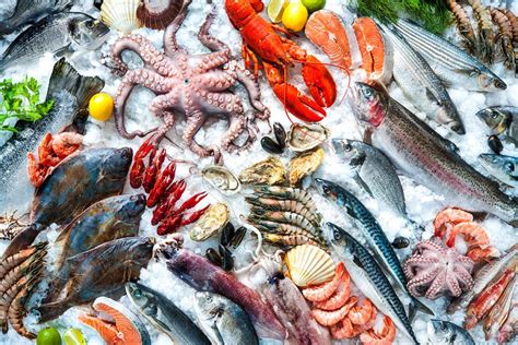 Seafood Supplier .